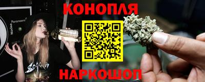 mdpv Заводоуковск