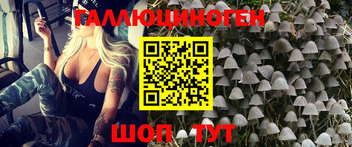 Псилоцибиновые грибы GOLDEN TEACHER  Вход с VPN  Назарово  Псилоцибиновые грибы Cubensis 